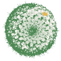 Instituto Cactus logo - Similar company to Instituto Geni | Gênero E Interseccionalidades