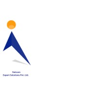 Netcom Expert Solutions Pvt. Ltd. logo - Similar company to Structure Net, Inc