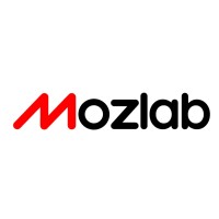 Mozlab logo - Similar company to Modus Bi
