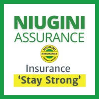 Niugini Assurance Group Limited logo - Similar company to Western Pacific Insurance