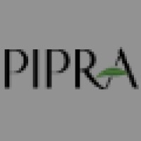 Pipra