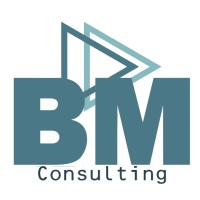 BM-Consulting logo - Similar company to Datavexa