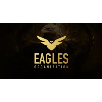 Eagles Organization logo - Similar company to The Eagles Organization