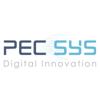 PECSYS FRANCE logo - Similar company to Second World