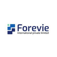 FOREVIE INTERNATIONAL PVT LTD logo - Similar company to Foreview, Llc