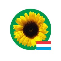 HD Sunflower - Luxembourg logo - Similar company to Real Impact Hub