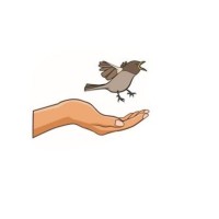 Josie's Pediatric Therapy Services logo - Similar company to Desired Pediatric Therapy Services