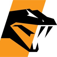 Blade Serpent logo - Similar company to Flyingspark Infotech