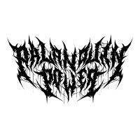 Palanquin Power logo - Similar company to Sunchem
