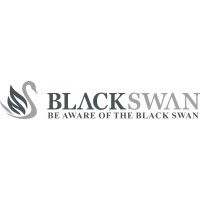 BlackSwan Consulting GmbH logo - Similar company to March15 Group