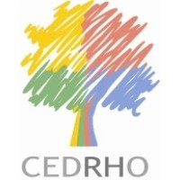 CEDRHO Consultores en Desarrollo de Recursos Humanos y Organizaciones logo - Similar company to Bp Consultora