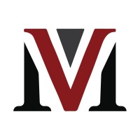 Motion Vec Digital logo - Similar company to Techigems Llc.
