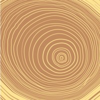 NEST design build logo - Similar company to Edifice Architecture