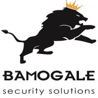 Bamogale Security Solutions logo - Similar company to Driver Works