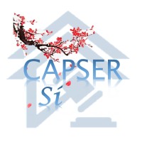 CapserSI Servicios Inmobiliarios logo - Similar company to Imaginária Labs