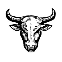 No-BS Consulting logo - Similar company to Data Sync