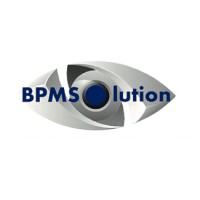 BPMSolution Consultoria em Gestão Empresarial logo - Similar company to N7V