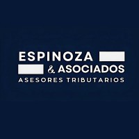 Espinoza & Asociados Ltda logo - Similar company to Gestora Cgs Spa