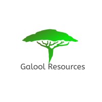 Galool Resources logo - Similar company to War-San Energy And Mining Services