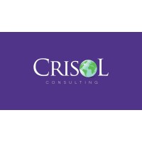 Crisol Consulting logo - Similar company to Dynamix Protection Services