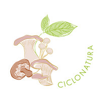 CICLONATURA S. DE. R.L logo - Similar company to Al Día