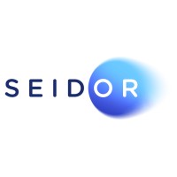 SEIDOR Poland logo - Similar company to Seidor Analytics North America