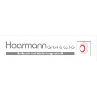 Haarmann GmbH & Co. KG logo - Similar company to Flowsource