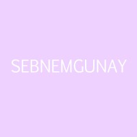 SEBNEM GUNAY logo - Similar company to Pys Grup