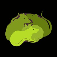 Ratz 4 Brainz logo - Similar company to Olive Branch Interactive