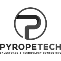 Pyrope Technology Solutions logo - Similar company to Revnova