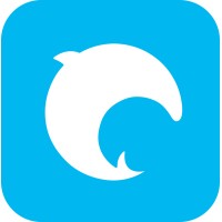 raiyansoft logo - Similar company to Cipher Cloud