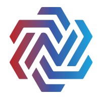 NetWing logo - Similar company to Vanguard Soft Tech