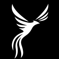 VuurVogels logo - Similar company to Y Business Alignment