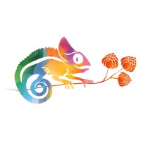 Brasserie Du Cameleon