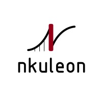 Nkuleon Consulting Engineers logo - Similar company to Lm Engineering