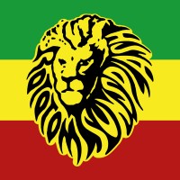 Rototom SL logo - Similar company to Jazztrònica