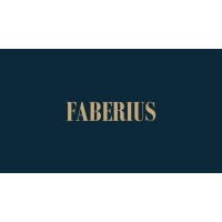 FABERIUS Kancelaria Doradztwa Podatkowego logo - Similar company to Bookwise