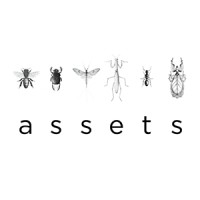 ASSETS Conseil logo - Similar company to Datasaga
