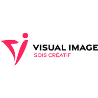 Visual Image logo - Similar company to Visual Image