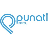 Punati Chemical Corp logo - Similar company to My Haus Cosmetics