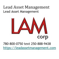 Lead Asset Management logo - Similar company to Lead Asset Management