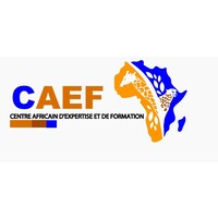 CENTRE AFRICAIN D'EXPERTISE ET DE FORMATION logo - Similar company to Afrique Technologies Systèmes - Ats