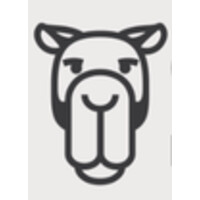 Camel Surge logo - Similar company to Davinci Solve