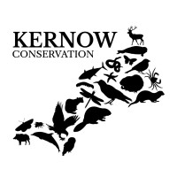 Kernow Conservation CIC logo - Similar company to Clean Cornwall