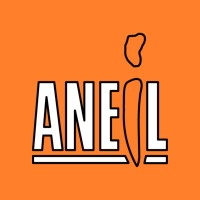 ANEIL logo - Similar company to Gravity Management Services