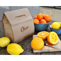 Obeo Living logo - Similar company to Hiri