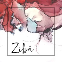 Ziba_by_Vidhi logo - Similar company to Studio Athena Inc