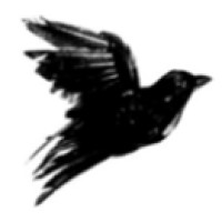 Blackbird Capital