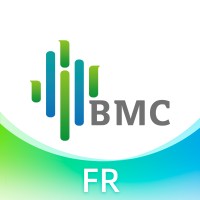 BMC Medical France logo - Similar company to Bmc Medical