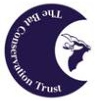Bat Conservation Trust logo - Similar company to Batability Courses & Tuition